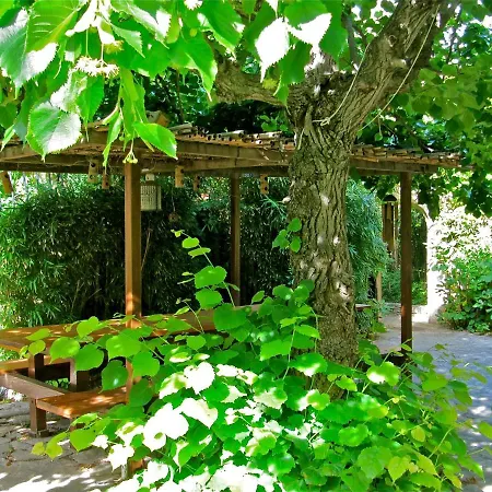Roka Bed & Breakfast