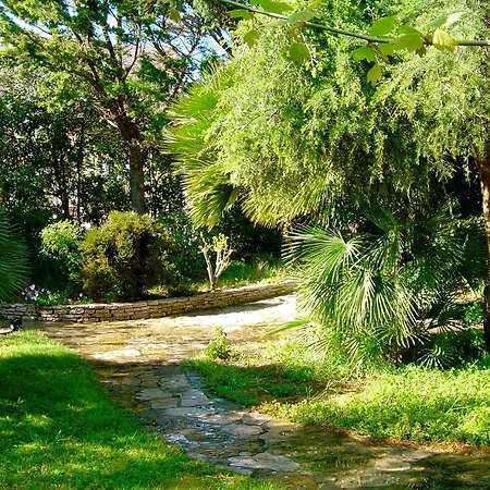 Roka Oda ve Kahvaltı